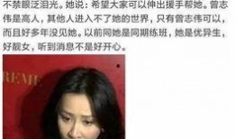 采访爆料人视频大全集,视频大全集背后的真实故事