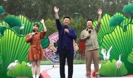 辣条新闻爆料大全最新视频,揭秘辣条行业最新动态与热点事件